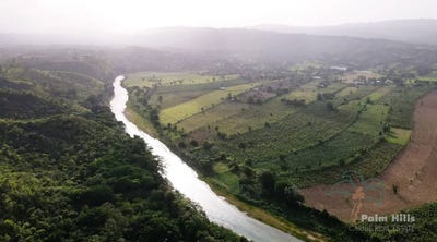 /international/do/sabaneta-de-yasica-sabaneta-de-yasica-puerto-plata-310094783330/