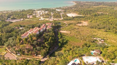 /international/do/el-coson-samana-samana-310106063198/