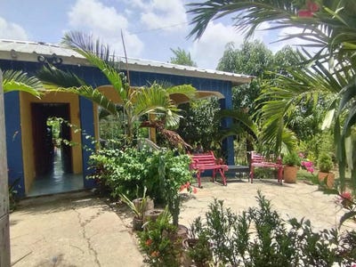 /international/do/puerto-plata-puerto-plata-puerto-plata-310101081392/