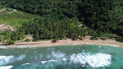 /international/do/el-coson-samana-samana-310106047626/