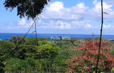 /international/do/qf4v-g58-cam-del-llibre-sosua-57000-dominican-republic-sosua-puerto-plata-310102744655/