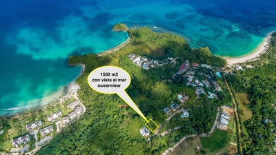 /international/do/las-ballenas-samana-samana-310108776302/?lang=it