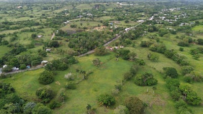 /international/do/cano-azul-de-colorado-maria-trinidad-sanchez-maria-trinidad-sanchez-province-310107941546/