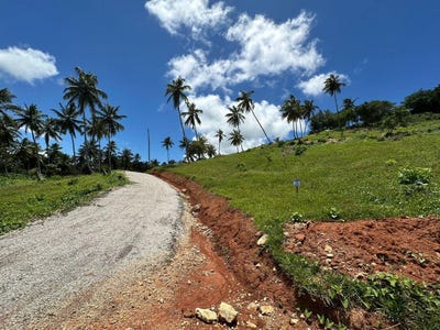 /international/do/samana-samana-samana-310108402172/