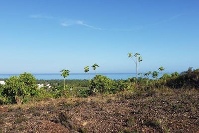 /international/do/la-ceiba-samana-samana-310108181359/
