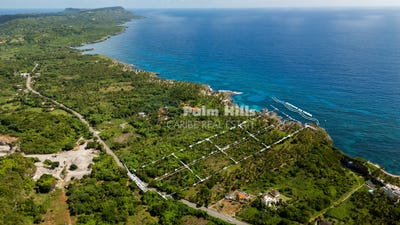 /international/do/samana-samana-samana-310108482880/