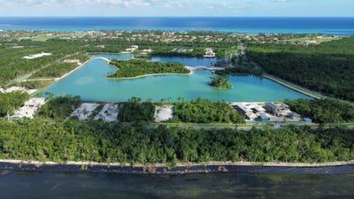 /international/do/gjjg-vwv-punta-cana-23000-dominican-republic-punta-cana-la-altagracia-province-310100139211/