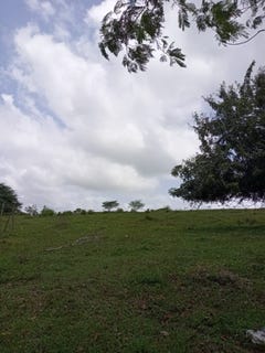 /international/do/centro-del-pueblo-ingenio-montellano-puerto-plata-puerto-plata-310103993645/