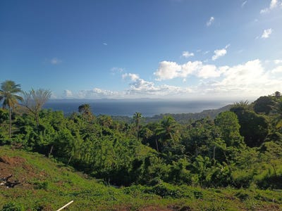 /international/do/samana-samana-samana-310108158632/
