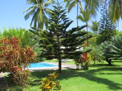 /international/do/fabio-abreu-las-terrenas-samana-310108403694/