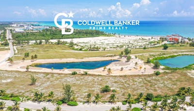 /international/do/boulevard-zona-hotelera-punta-cana-la-altagracia-province-310101471762/