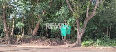 /international/do/santo-domingo-de-guzman-distrito-nacional-310103084443/