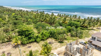 /international/do/cabarete-cabarete-puerto-plata-310108643364/