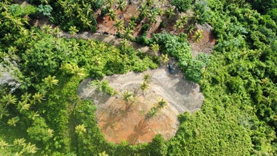 /international/do/hoyo-del-cacao-samana-samana-310108373057/