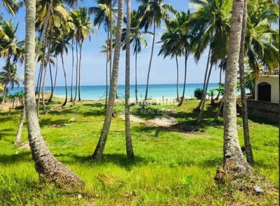 /international/do/sabaneta-de-yasica-sabaneta-de-yasica-puerto-plata-120085954634/