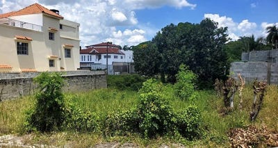 /international/do/samana-samana-samana-310108320133/