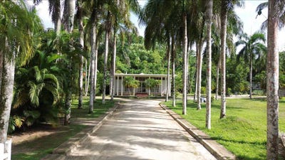 /international/do/las-terrenas-las-terrenas-samana-310108159696/