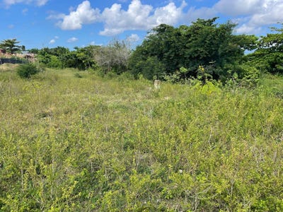 /international/do/manoguayabo-santo-domingo-de-guzman-santo-domingo-310108286391/