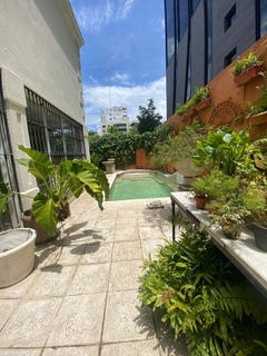 /international/do/piantini-santo-domingo-de-guzman-santo-domingo-310098142641/