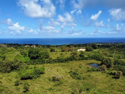 /international/do/maria-trinidad-sanchez-maria-trinidad-sanchez-province-310100789339/