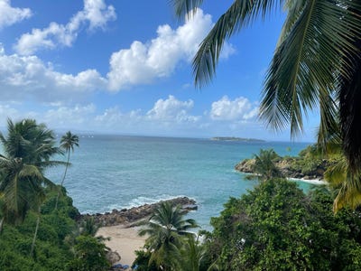 /international/do/samana-samana-samana-310108307089/