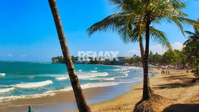 /international/do/cabarete-puerto-plata-puerto-plata-310103993786/