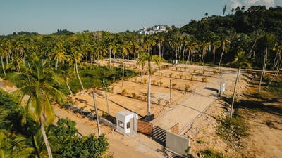 /international/do/el-coson-samana-samana-310106064008/
