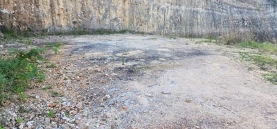 /international/do/monte-adentro-samana-samana-310106062960/