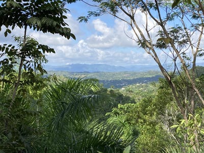 /international/do/unnamed-road-sosua-puerto-plata-310100785667/