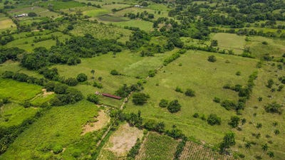 /international/do/veragua-veragua-puerto-plata-120086693650/