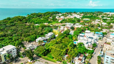 /international/do/sosua-sosua-puerto-plata-310106407890/