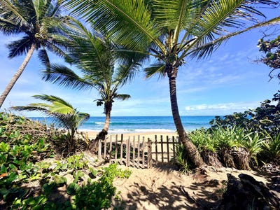 /international/do/cabarete-cabarete-puerto-plata-310108597850/