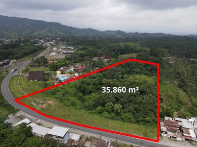 /international/ec/terreno-altamente-rentable-en-sto-domingo-commercial-and-residential-land-santo-domingo-santo-domingo-de-los-tsachilas-province-310100936308/?lang=zh-cn