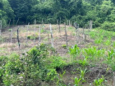 /international/ec/close-to-the-coast-farmland-bahia-de-cataquez-ecuador-san-clemente-manabi-province-310107019707/