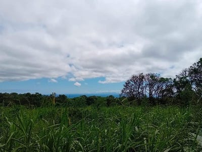 /international/ec/14-2-hectare-property-in-santa-cruz-with-ocean-views-and-tourism-potential-santa-cruz-galapagos-islands-310101207035/?lang=zh-tw