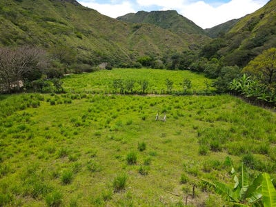 /international/ec/22-hectares-of-gorgeous-mountain-riverfront-landchiquil-chiquil-loja-120070002475/