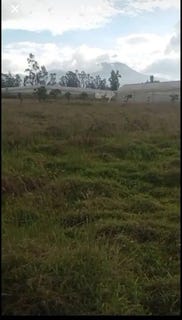 /international/ec/countryside-development-parcel-for-sale-in-ibarra-esperanza-ibarra-imbabura-ibarra-imbabura-province-310107787270/