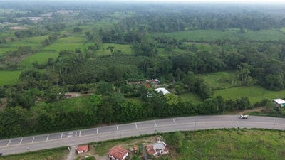 /international/ec/130-hectare-farm-santo-domingo-ecuador-santo-domingo-santo-domingo-de-los-tsachilas-province-310108286792/