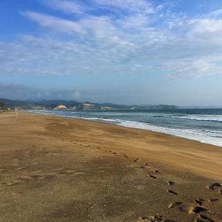 /international/ec/las-palmas-lot-03-1-250-mt2-beachfront-lot-in-las-palmas-community-puerto-cayourb-las-palmas-lot-03-puerto-cayo-manabi-province-120066461145/