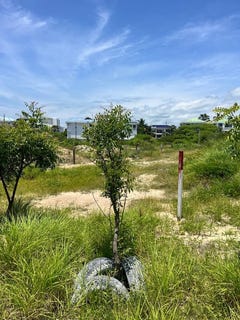 /international/ec/strategic-land-investment-in-a-growing-community-punta-barandua-santa-elena-province-310107264233/