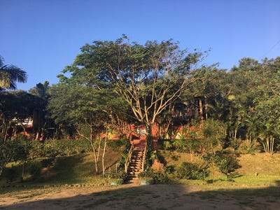 /international/ec/la-buena-vida-surf-ayampe-manabi-province-120079749589/?lang=zh-cn