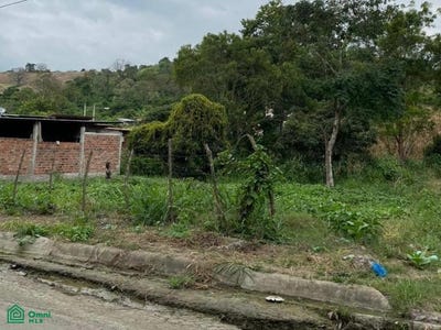 /international/ec/calle-tungurahua-y-callejon-17-00-centro-de-jipijapa-jipijapa-manabi-manabi-province-310101103874/?lang=es