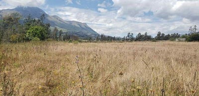 /international/ec/hermoso-lote-en-venta-countryside-home-construction-site-for-sale-in-cotacachicotacachi-el-sagrario-cotacachi-imbabura-province-310101229212/?lang=zh-cn