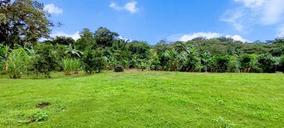/international/ec/papayas-lemons-enjoy-income-potential-in-this-quiet-country-living-duplex-surrounded-by-mother-nature-pedro-vicente-pichincha-310107644499/
