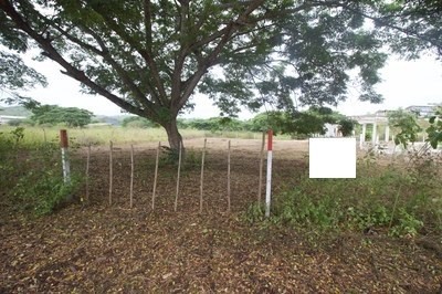 /international/ec/campo-life-manglaralto-santa-elena-province-120073262765/