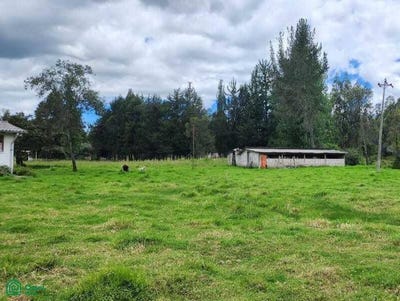 /international/ec/cotghocoa-canton-ruminahui-sn-quito-quito-pichincha-quito-pichincha-310099833364/