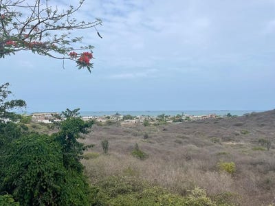 /international/ec/high-on-the-hill-multiple-income-stream-opportunity-in-ballenita-ballenita-santa-elena-province-310098340065/
