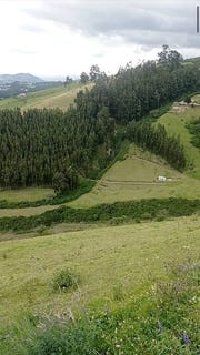 /international/ec/countryside-agricultural-land-farm-for-sale-in-cayambe-cayambe-cayambe-pichincha-310107787827/