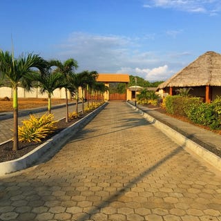 /international/ec/las-palmas-lot-04-1-250-mt2-beachfront-lot-04-in-las-palmas-community-puerto-cayo-puerto-cayo-manabi-province-120066461237/