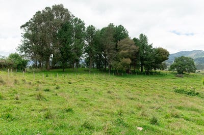 /international/ec/florencia-terraverde-rural-residential-community-north-of-loja-5e-loja-loja-310107019705/